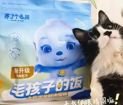 粮！三只松鼠靠什么重返宠物食品赛道麻将胡