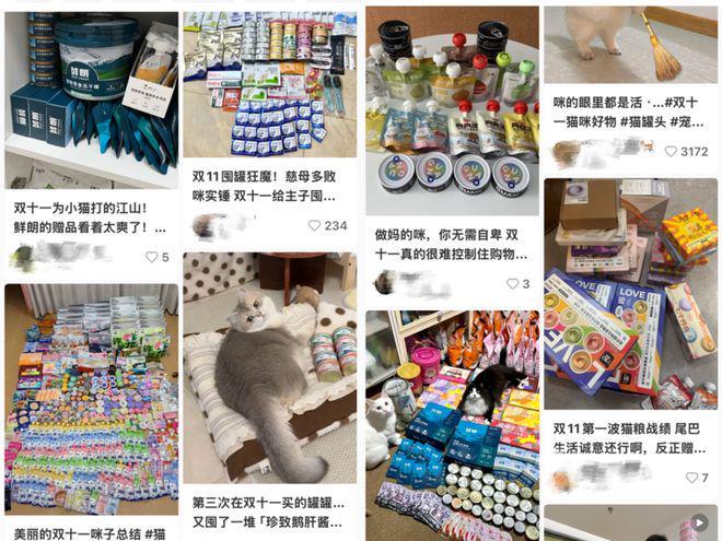 猫狗大市场赵露思、陈冠希纷纷加入PG电子游戏麻将胡了3000亿(图3)