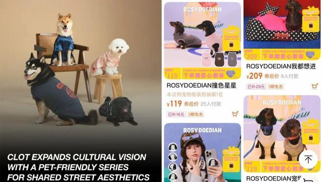 猫狗大市场赵露思、陈冠希纷纷加入PG电子游戏麻将胡了3000亿(图2)