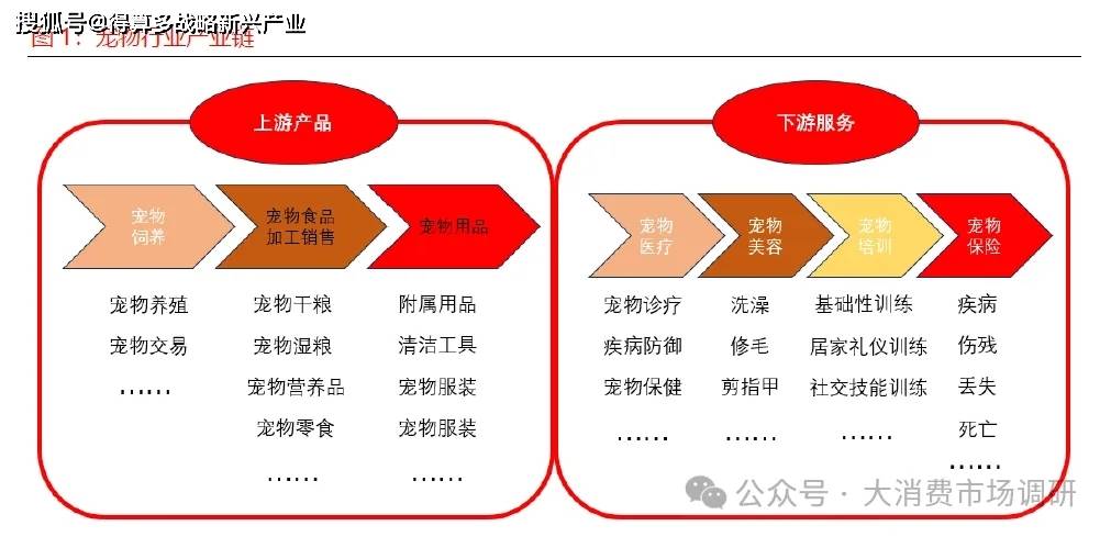 展现状与驱动因素分析（15页报告）PG电子麻将胡了试玩宠物食品市场发